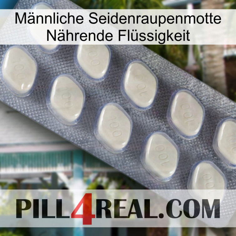 Männliche Seidenraupenmotte Nährende Flüssigkeit 08